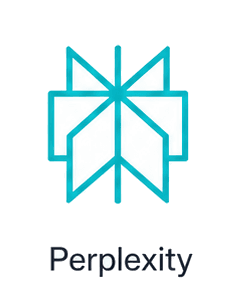 Perplexity